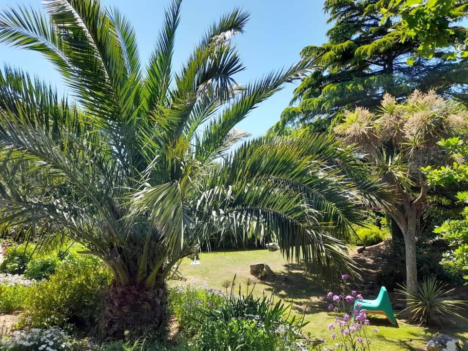 Ker Rita - Maison familiale - 10 personnes Villa in Crozon
