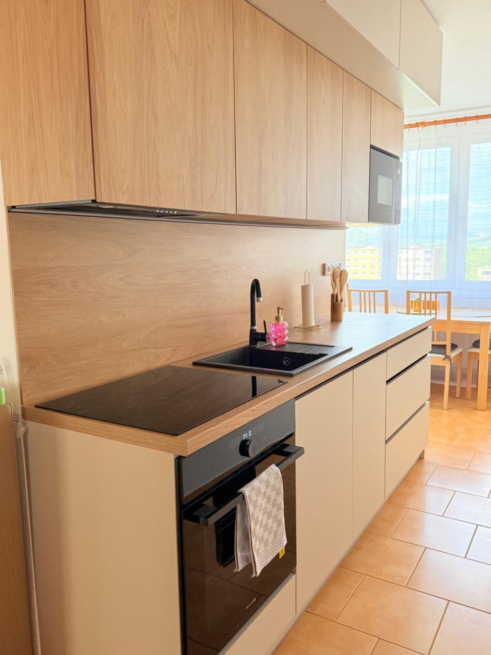 Home place Apartment in Czechia