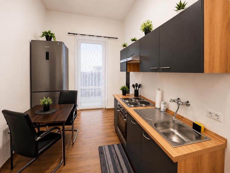 Bright and Elegant Private Room Bed and Breakfast in Dresden-Neustadt