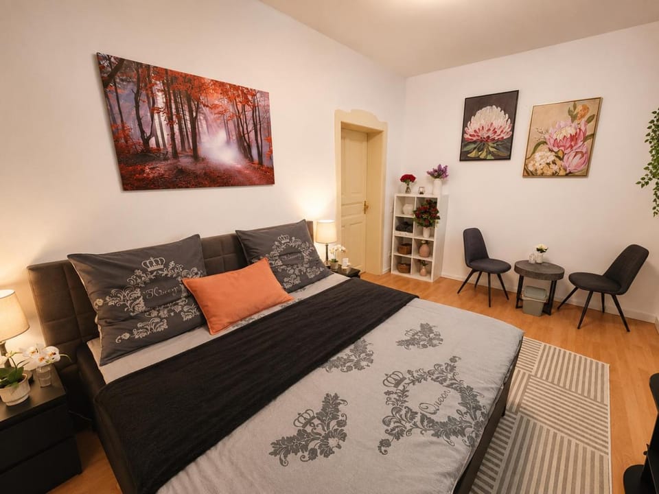 Bright and Elegant Private Room Bed and Breakfast in Dresden-Neustadt