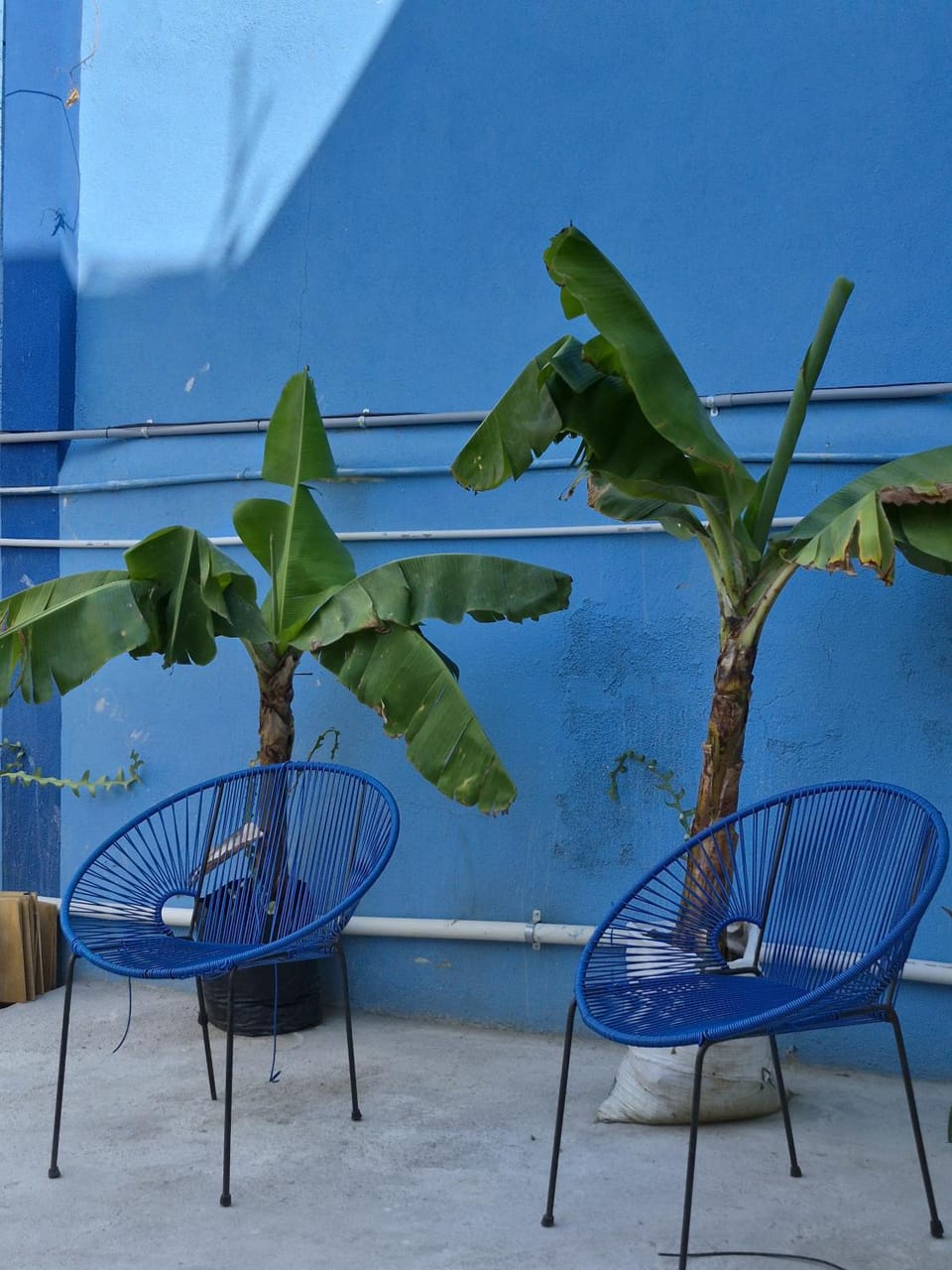 Patio, Inner courtyard view