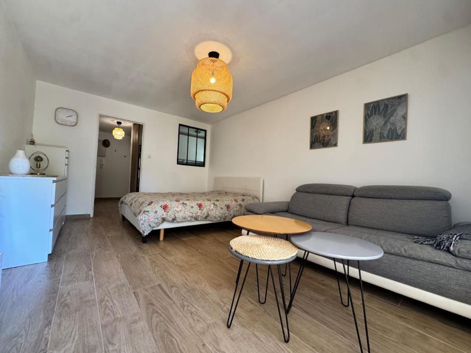 L'Ibiza, beach within walking distance and air conditioning Apartment in La Seyne-sur-Mer