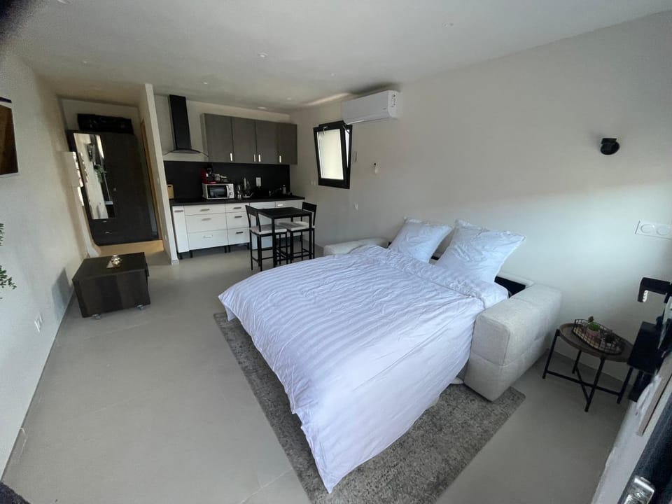 Studio cosy avec terrasse Apartment in Montpellier