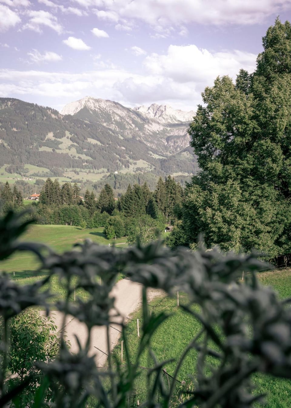 View (from property/room)