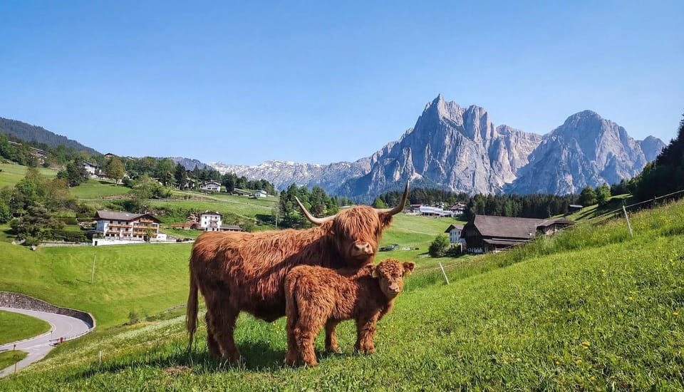Pilgram Farm Lodges Dolomites Apartment in Trentino-South Tyrol