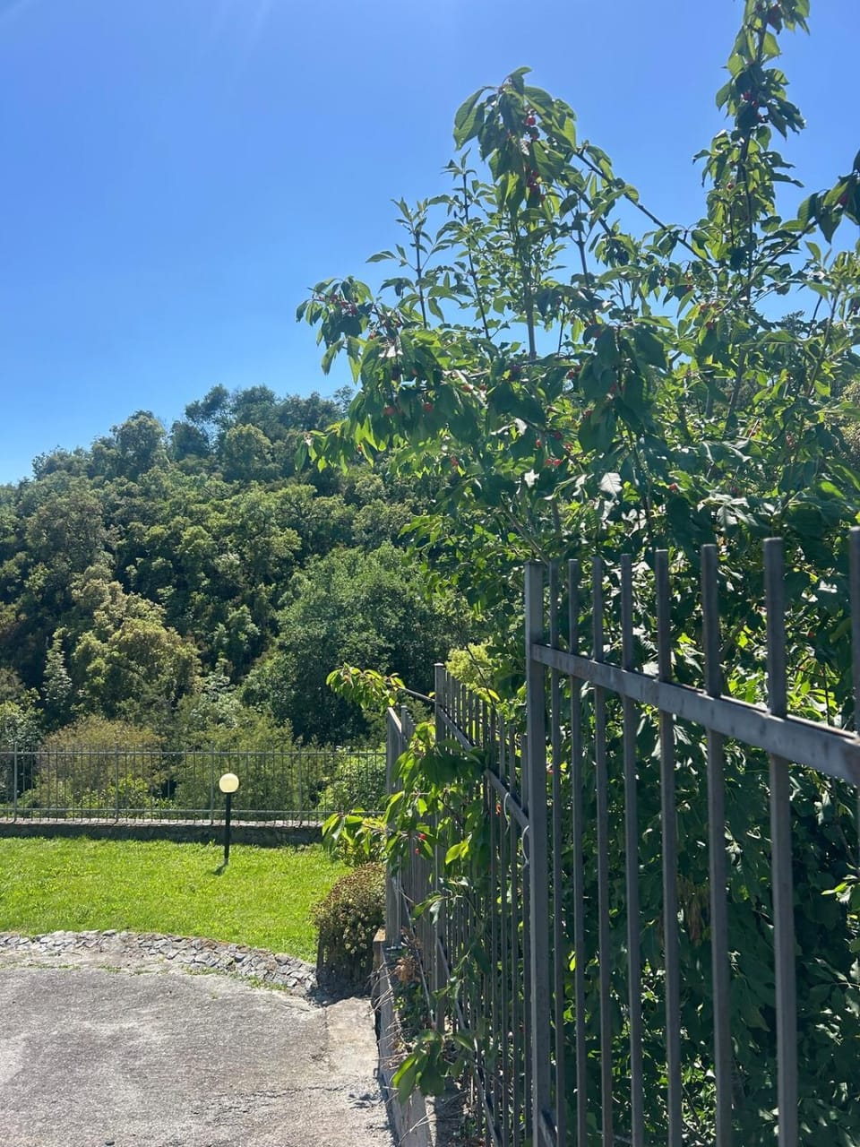 VerdeMare HOUSE villetta con giardino Apartment in Loano