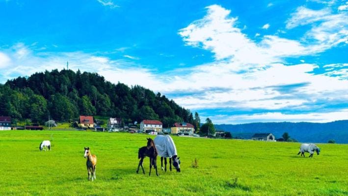 Natural landscape