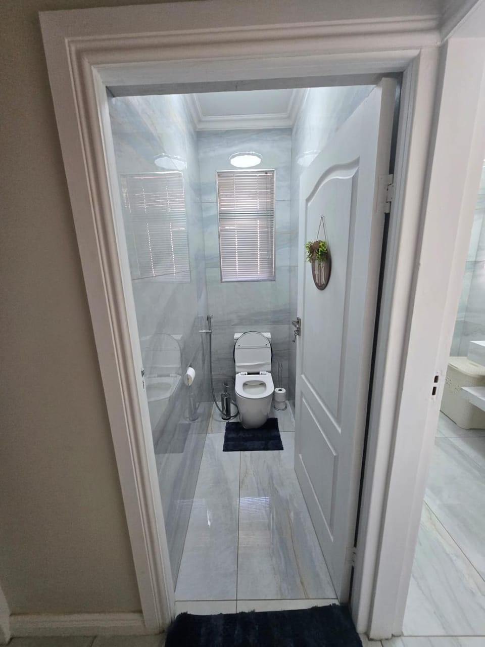 Toilet, Bathroom