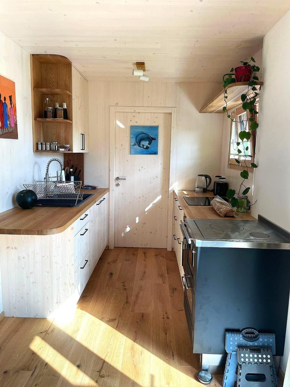 Kitchen or kitchenette, oven, stove