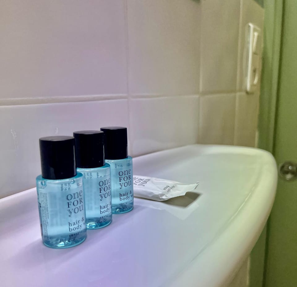 Le Grand Refuge - Chambre 11 - 3 personnes Apartment in Lourdes