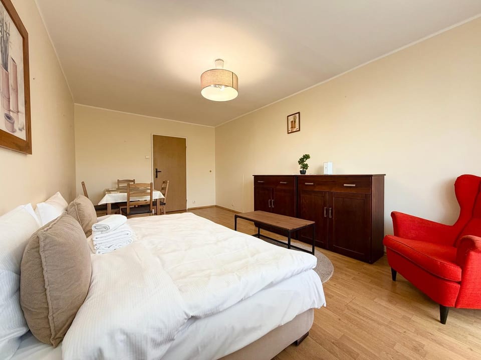 Bed, Living room, Photo of the whole room, Seating area, Bedroom