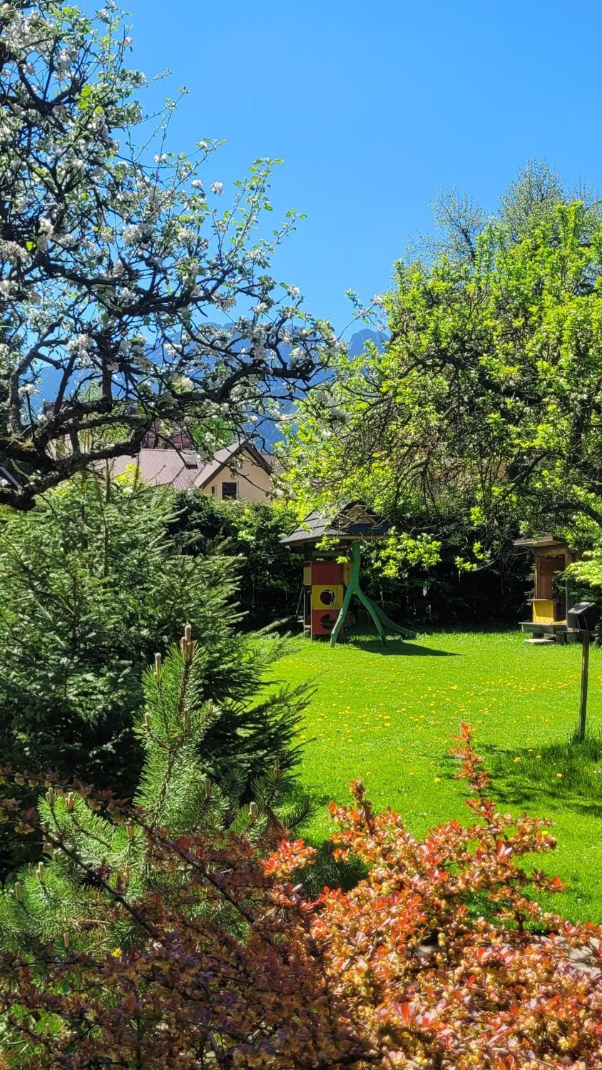 Spring, Day, Natural landscape, Garden, Garden view