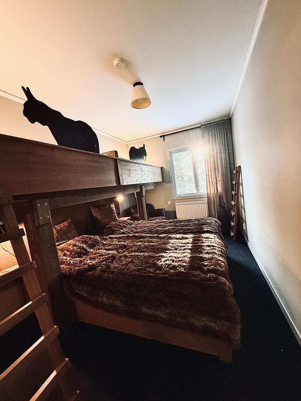 Bed, Photo of the whole room, Bedroom, bunk bed