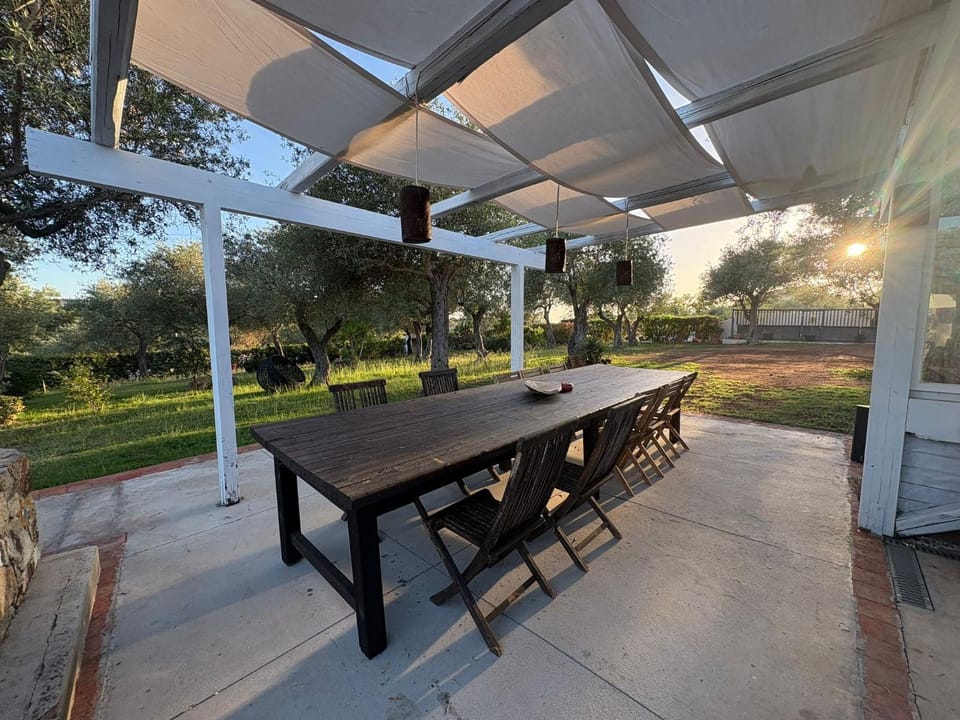 Patio, Garden