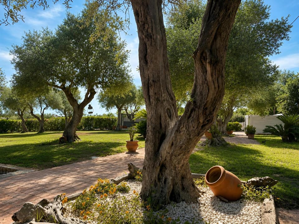Garden view