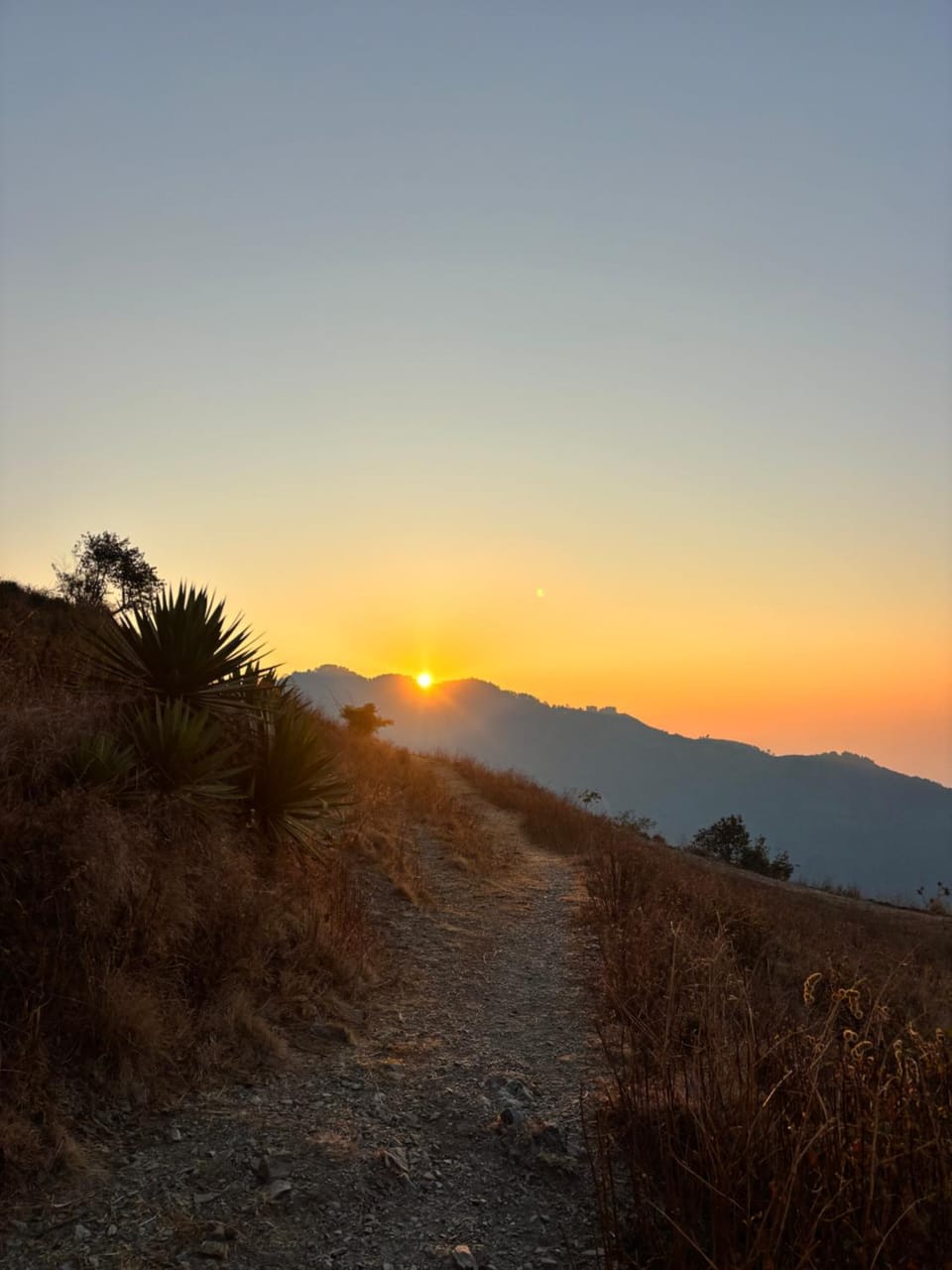 Get wild camping Luxury tent in Uttarakhand