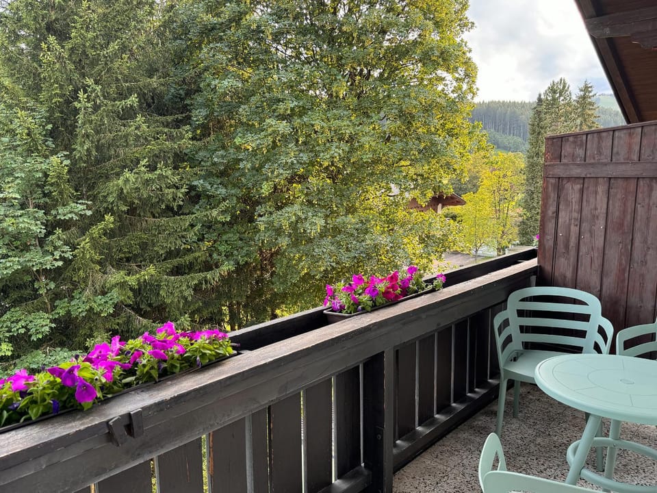 Spring, Day, Garden, View (from property/room), Balcony/Terrace, Dining area, Garden view