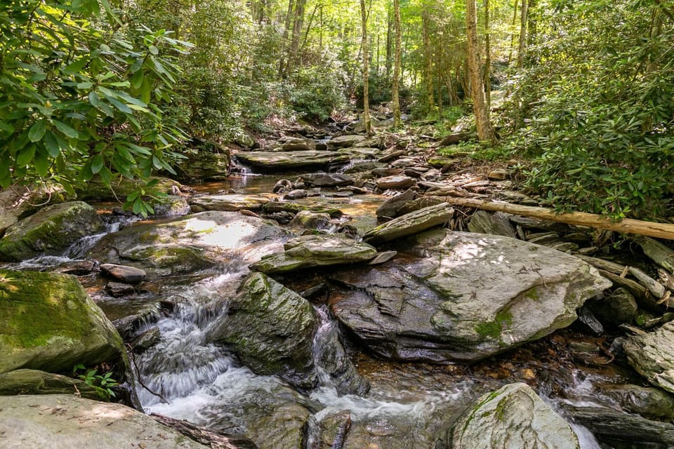 The Dog House - Romantic Hot Tub Creekside Firepit Perfect couples getaway House in Brushy Fork