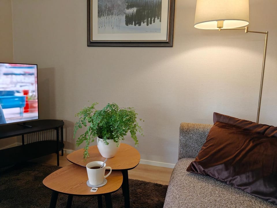Cozy city-center beauty - one-bedroom with sauna and free parking Apartment in Finland