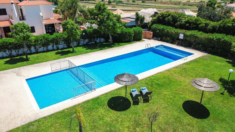 Garden, Swimming pool, sunbed