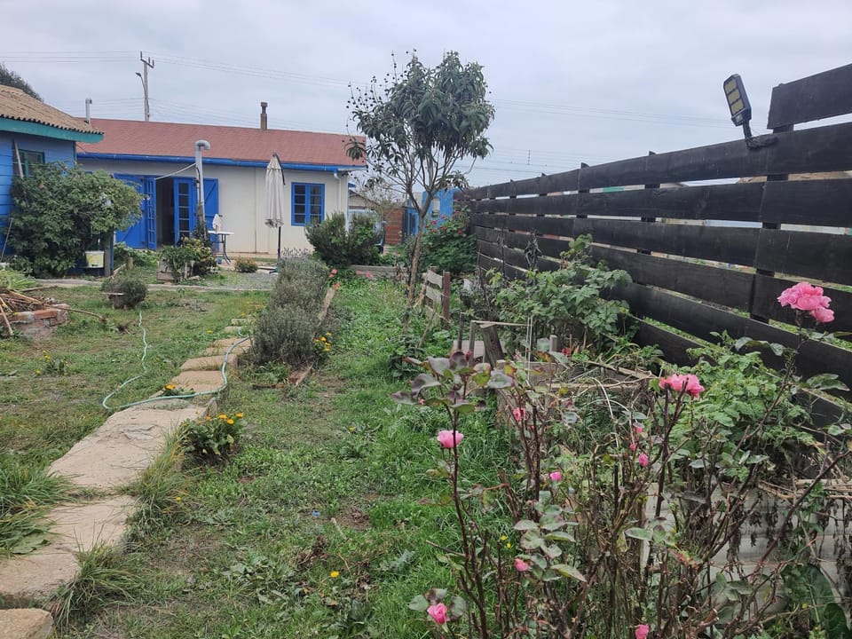 casa Constanza 643 House in Pichilemu