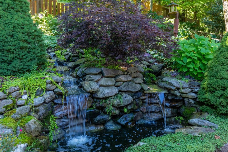 Chipmunk View Lodge - Amazing views hot tub and manmade waterfall House in Watauga