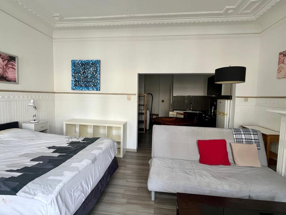 Cozy bright studio Apartment in Brussels