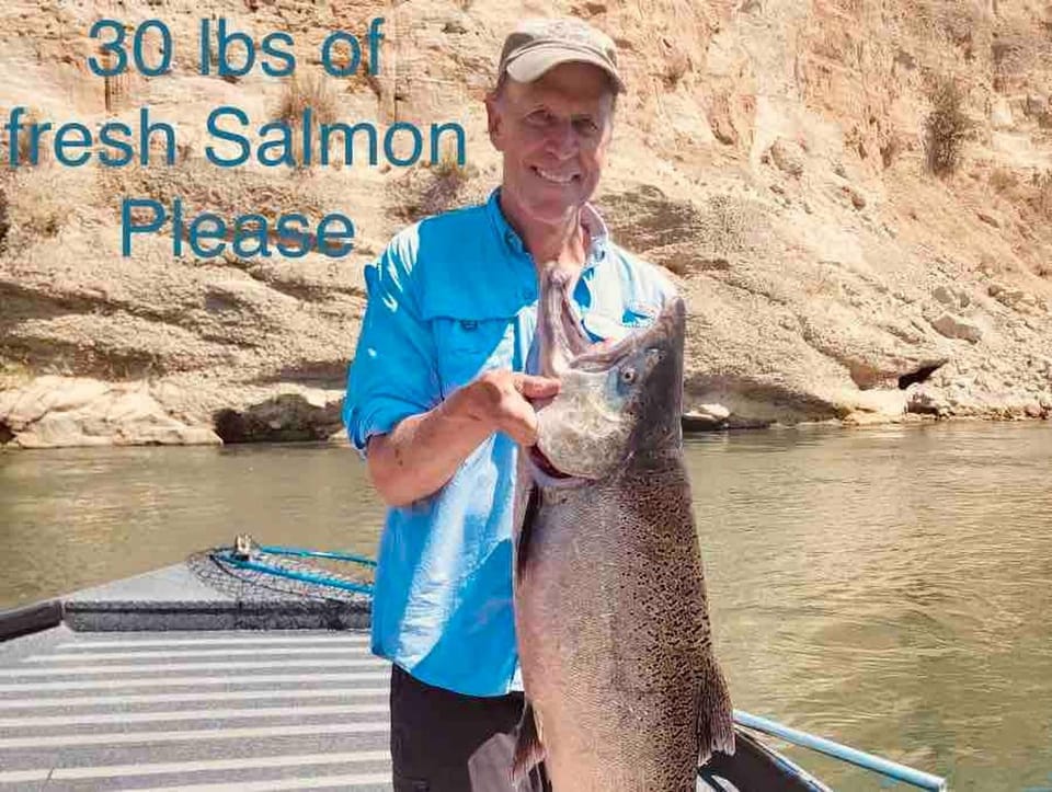 Fishing, Animals