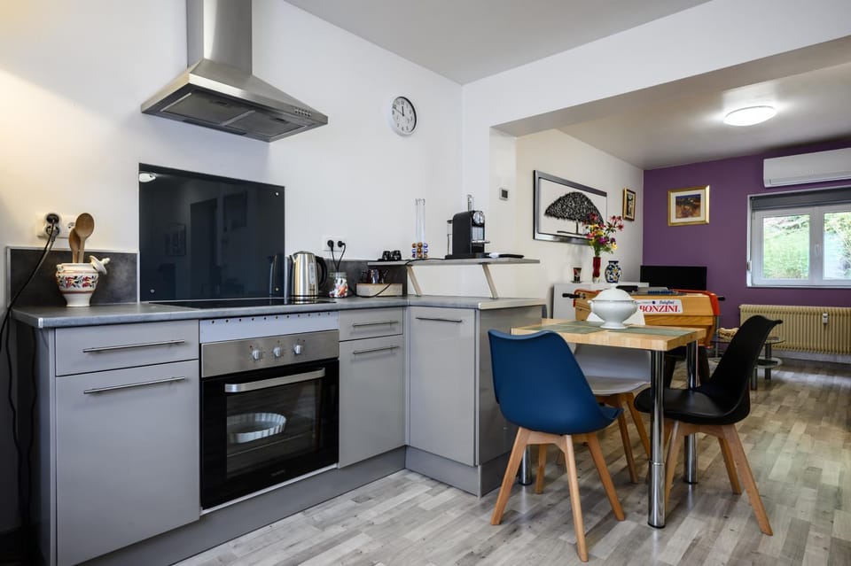 L'appartement d'Odile Apartment in Grand Est