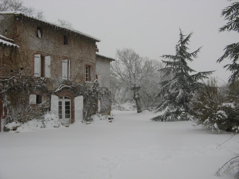 Winter
