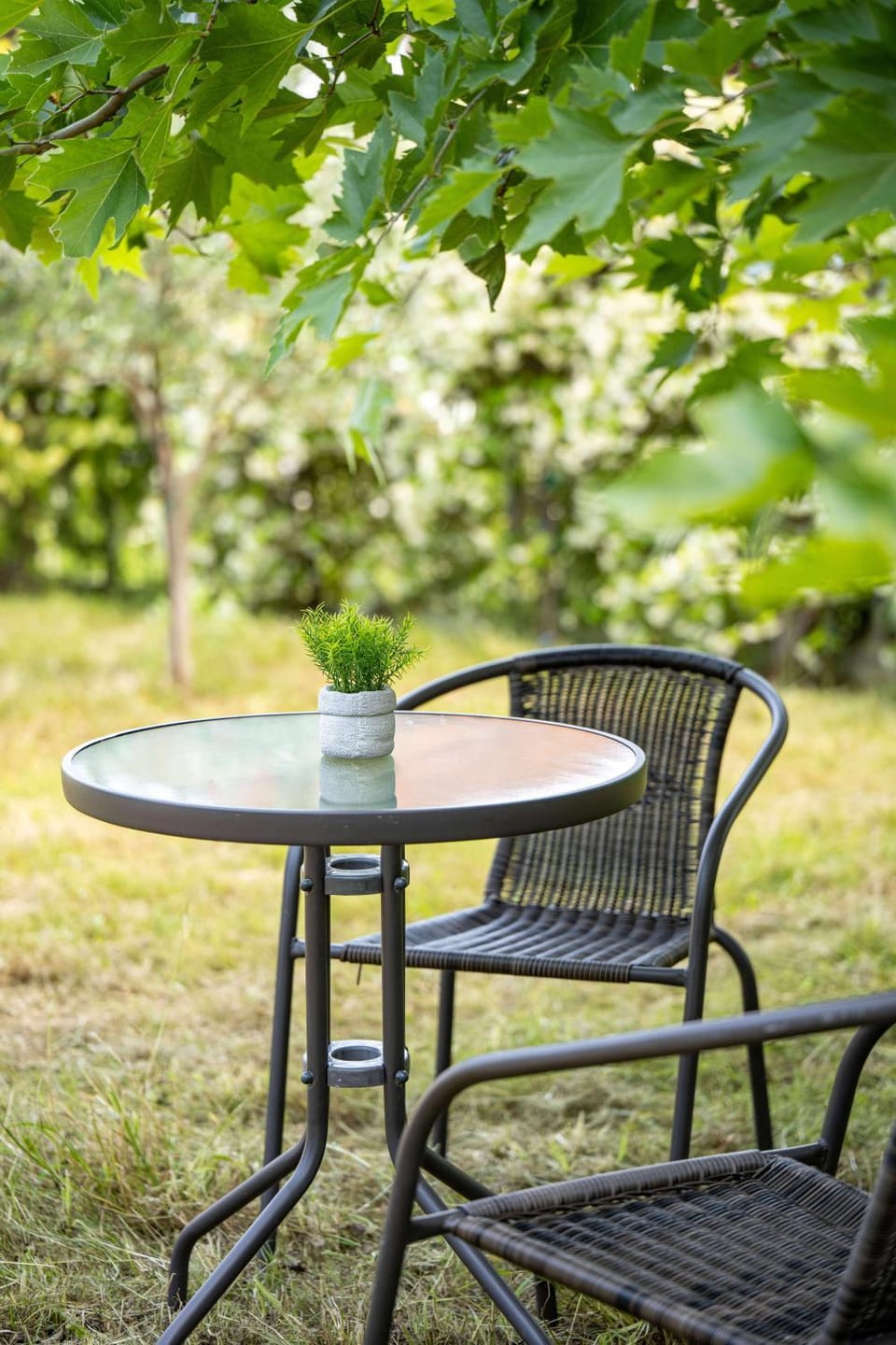 Garden, Garden