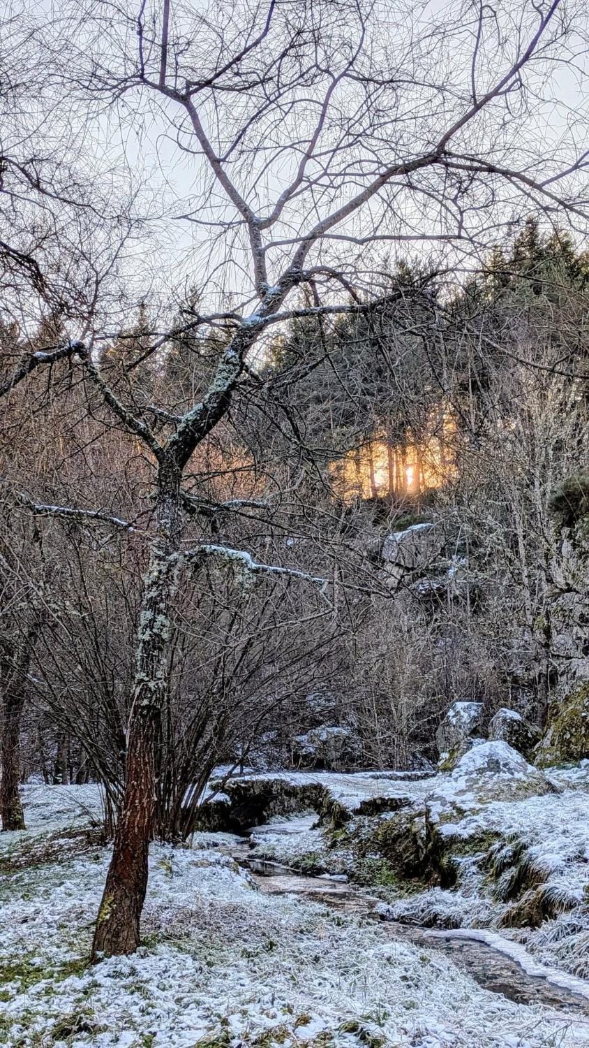 Winter
