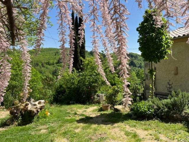 Natural landscape, Garden view