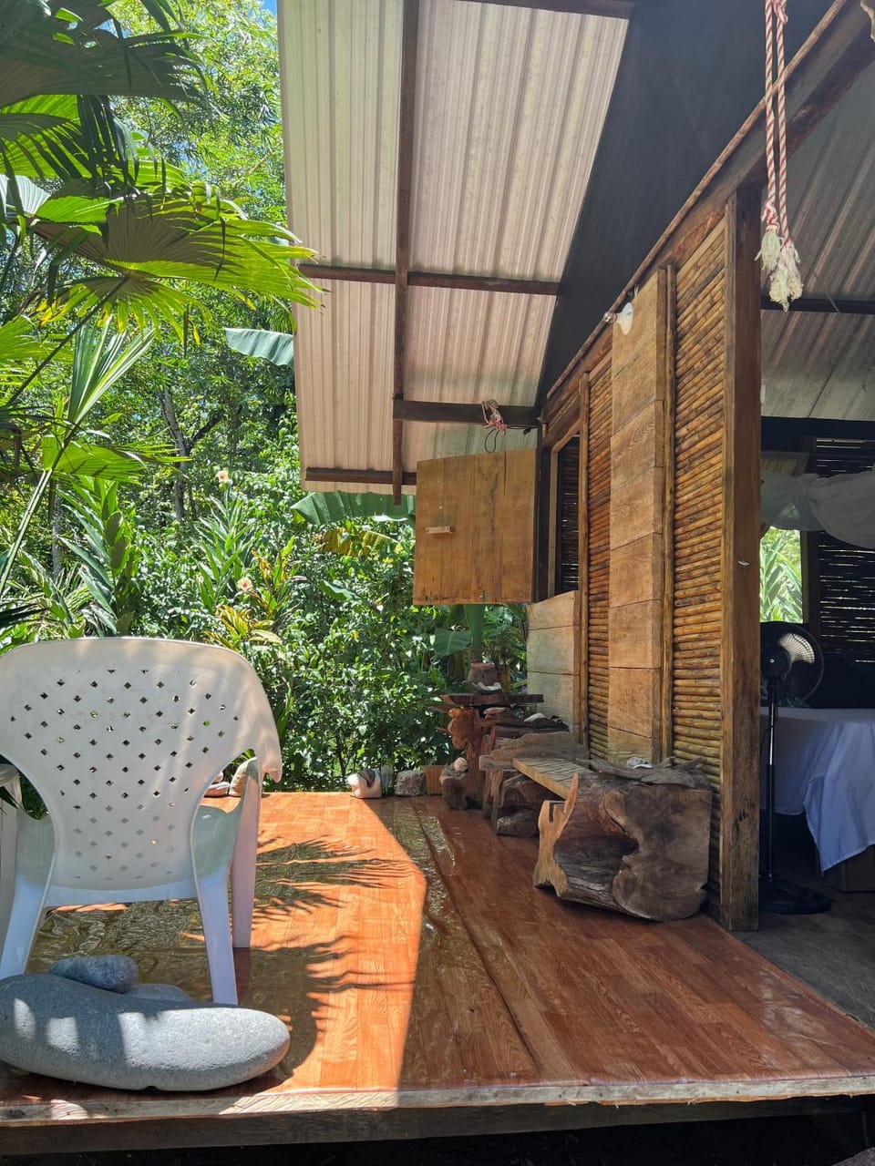 Ancestra black ecolodge Nature lodge in Choco, Colombia