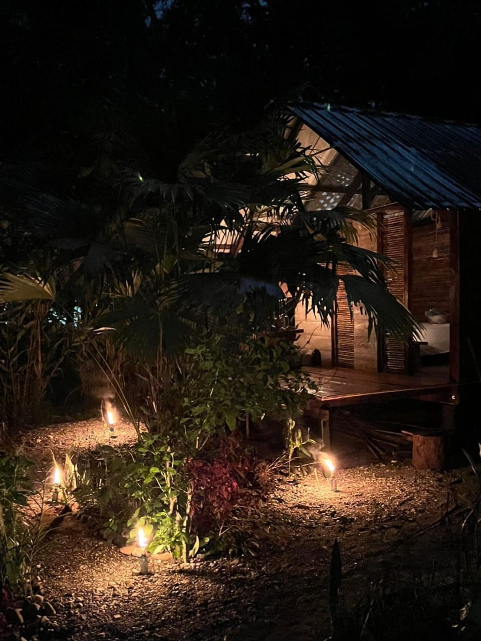 Ancestra black ecolodge Nature lodge in Choco, Colombia