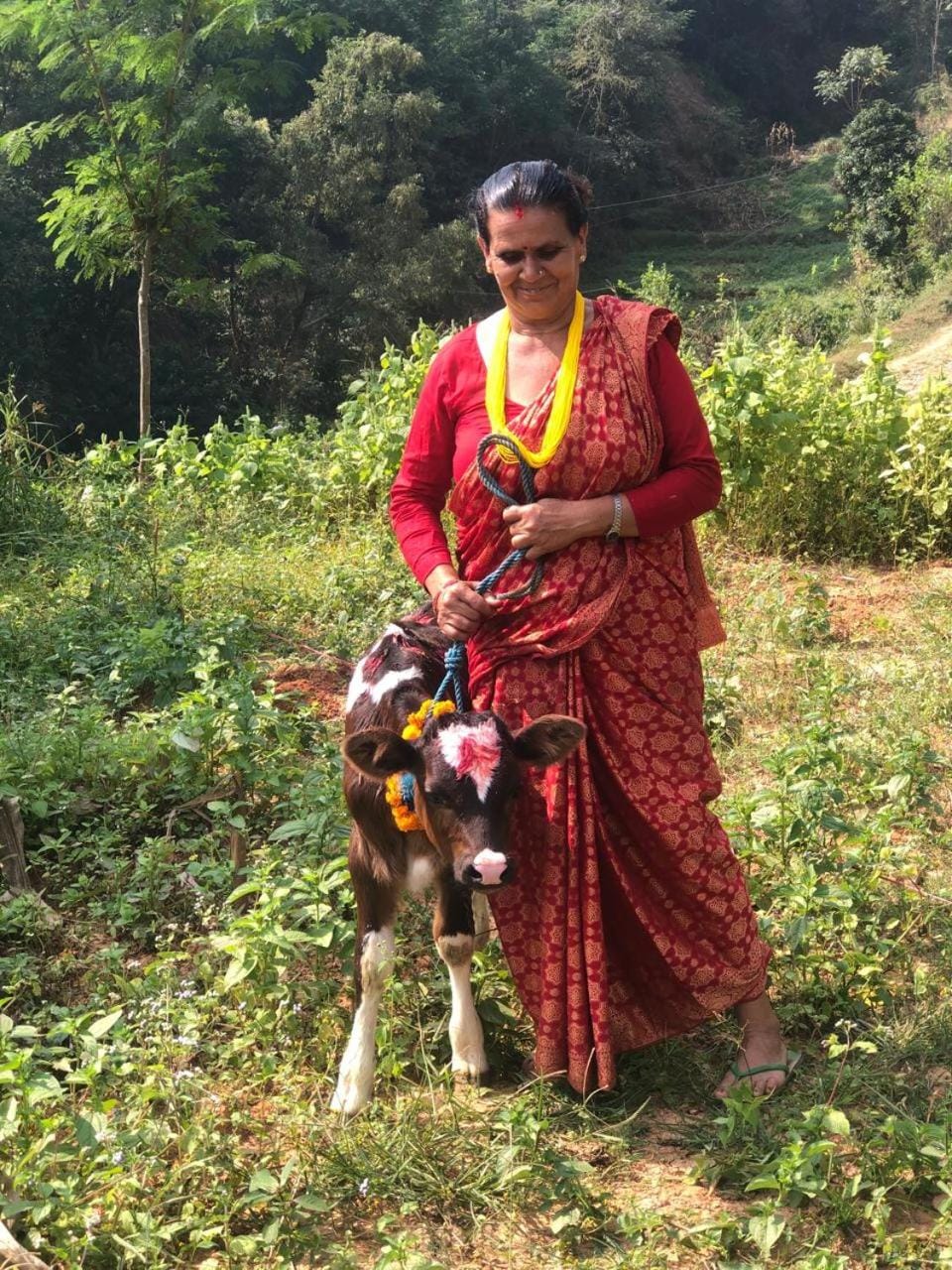 Ghattetar farm stay Farm Stay in Bagmati Province, Nepal