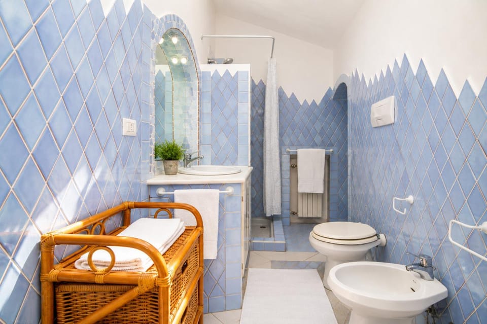 Shower, Toilet, Bathroom, bidet