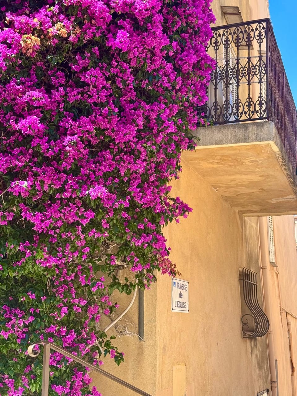 Newly renovated studio - Heart of Le Suquet Apartment in Cannes
