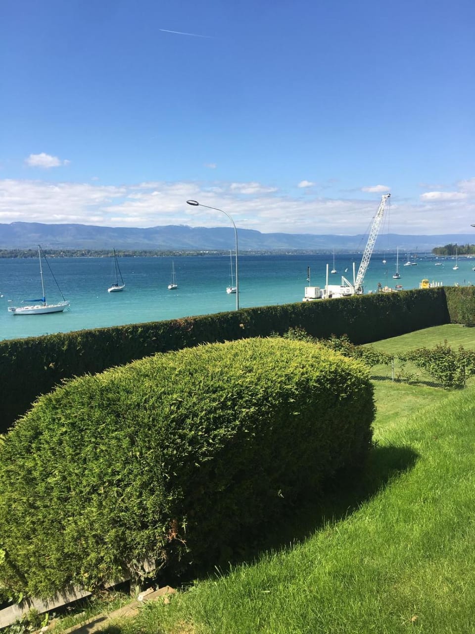 Lake view