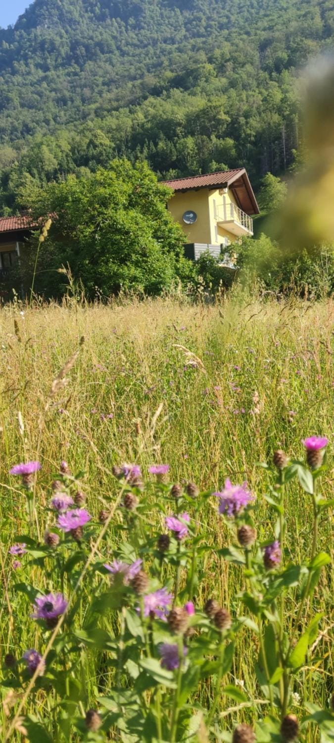 Apartma Tia&Mia Apartment in Friuli-Venezia Giulia