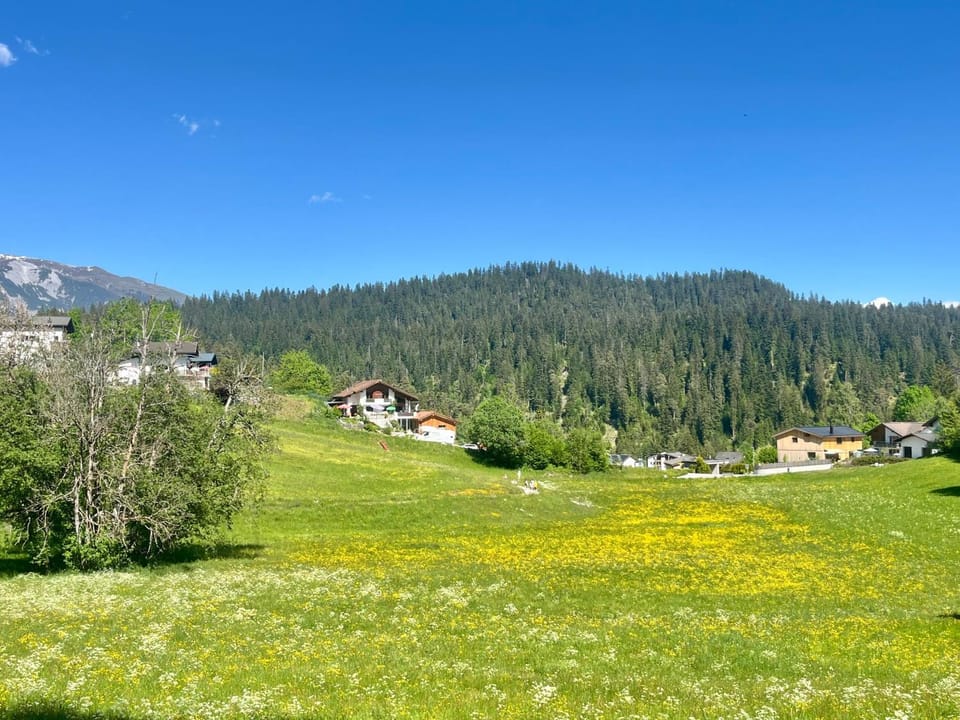 View (from property/room), Area and facilities