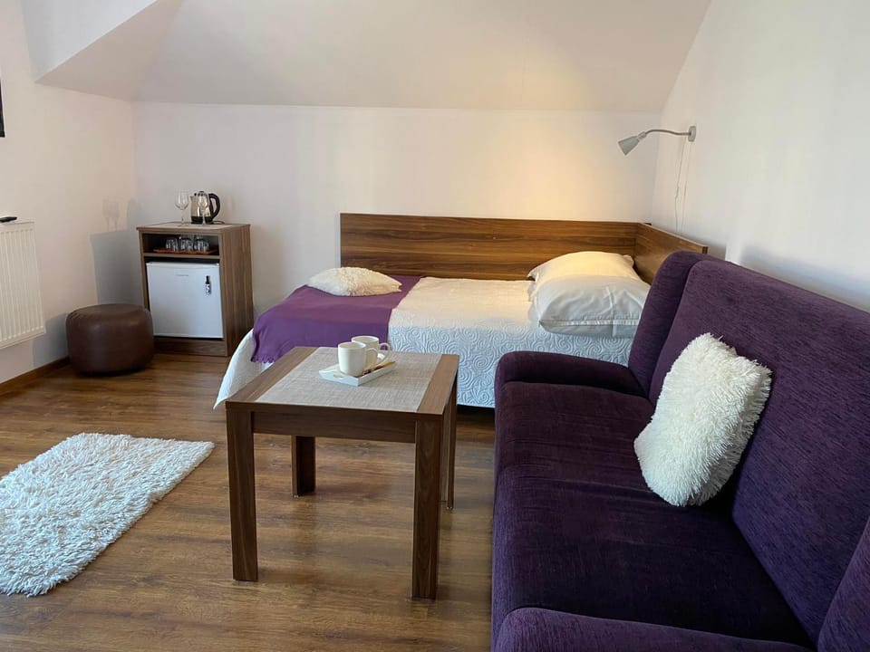 Wiktor Vacation rental in Wladyslawowo