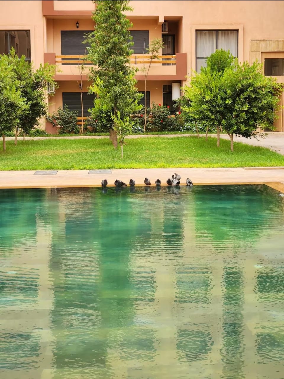 Garden, Pool view