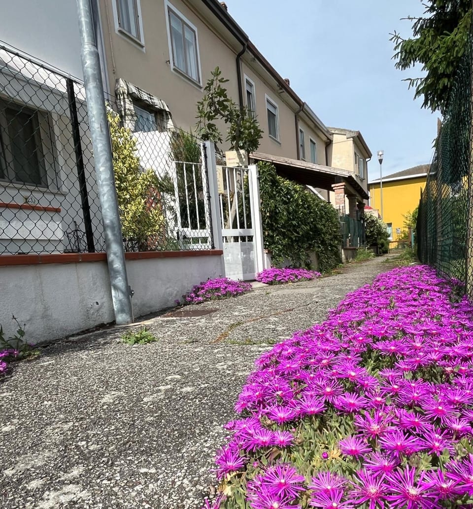 Garden, Street view