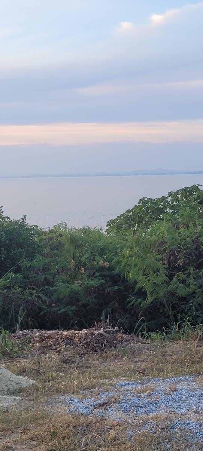 Lake view