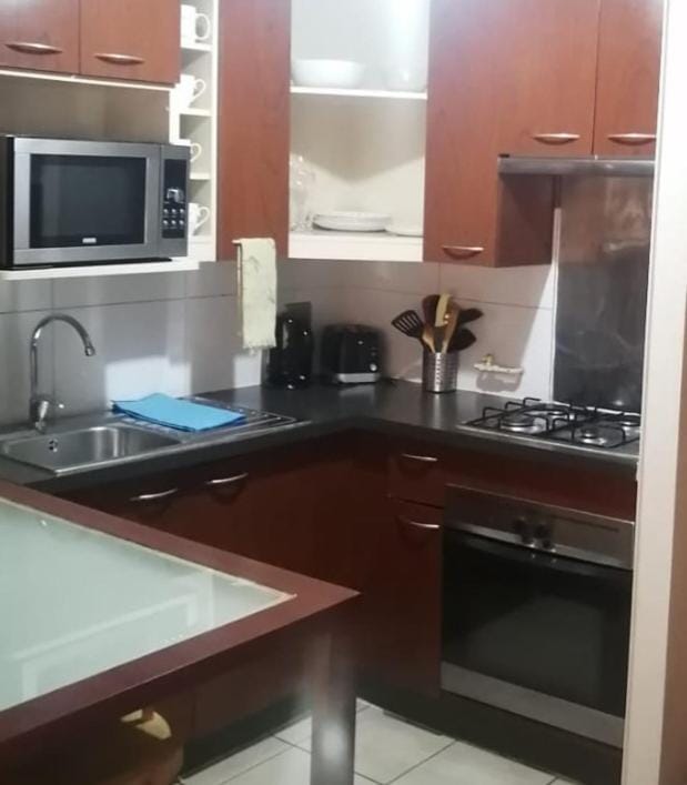 Your Apartment Apartment in Santiago