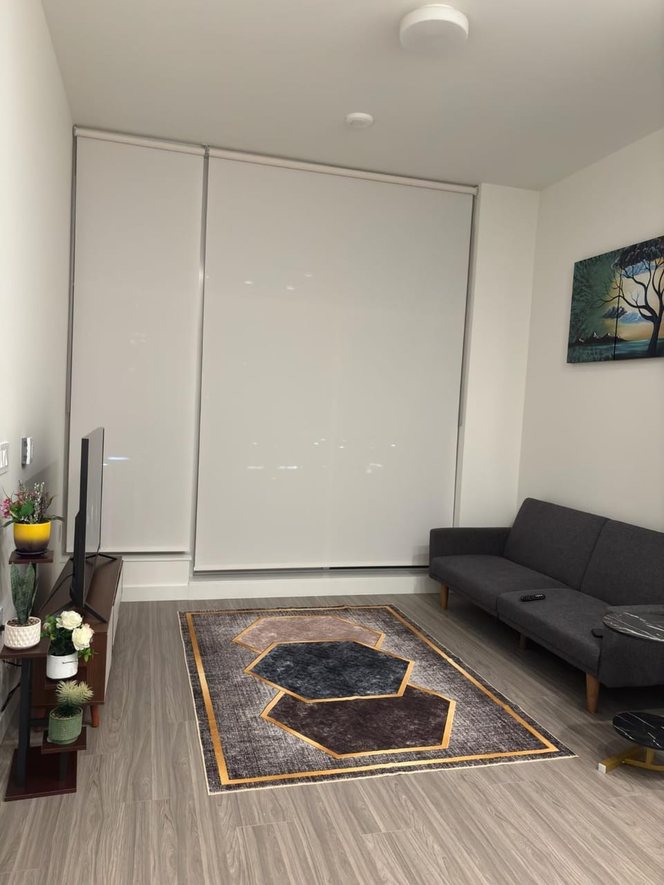 Sky suit luxury Apartment in Surrey