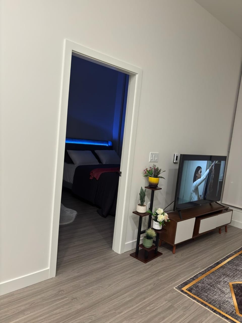 Sky suit luxury Apartment in Surrey