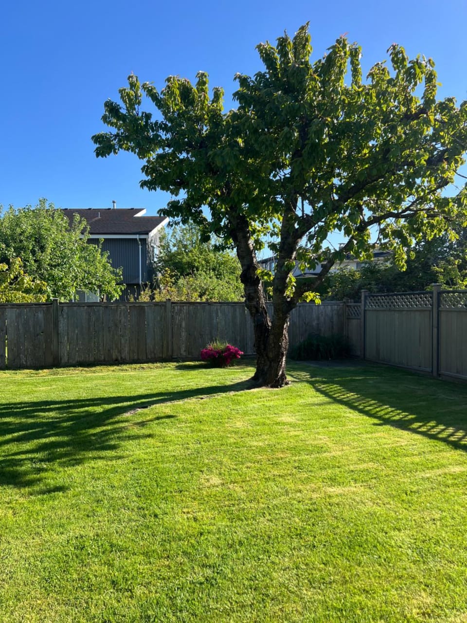 温馨小屋 Vacation rental in Richmond