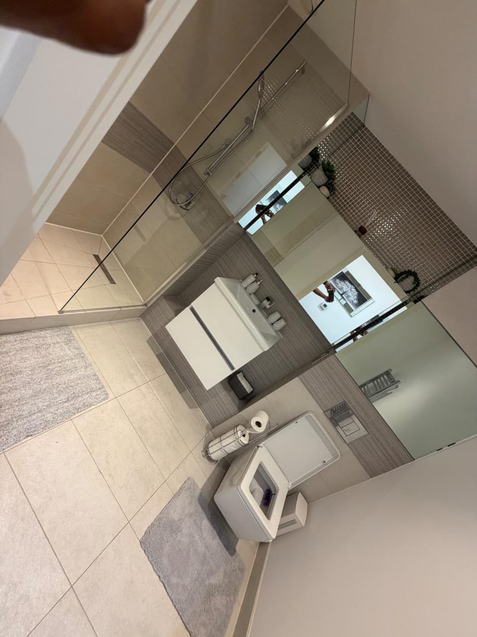 Shower, Toilet, Decorative detail